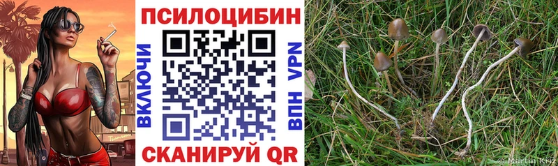 OMG маркетплейс  Ижевск  Псилоцибиновые грибы мухоморы 